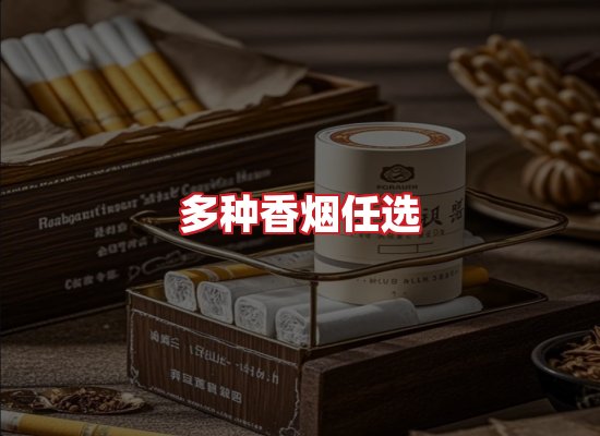专业团队